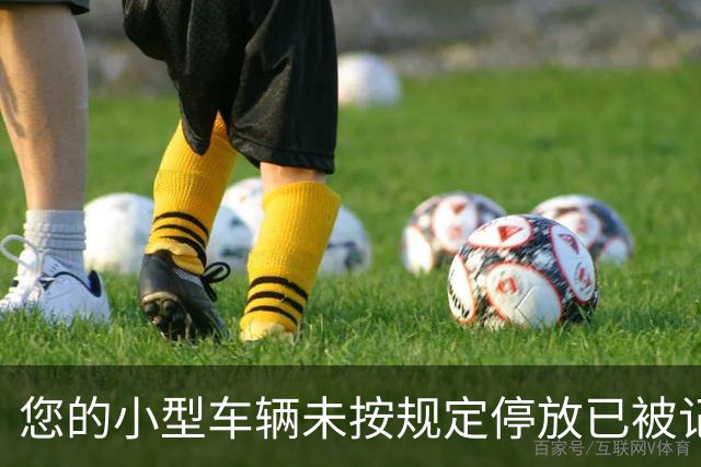 您的小型车辆未按规定停放已被记录！
