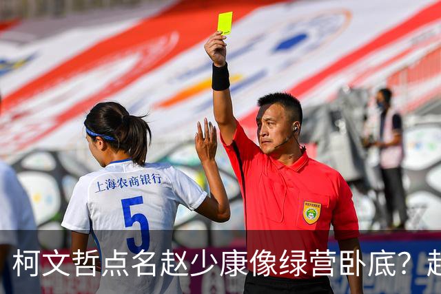 柯文哲点名赵少康像绿营卧底？赵少康急忙回应，柯向郑丽文亮底牌