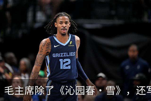 毛主席除了《沁园春·雪》，还写过另一首同样横绝千古的《沁园春》！