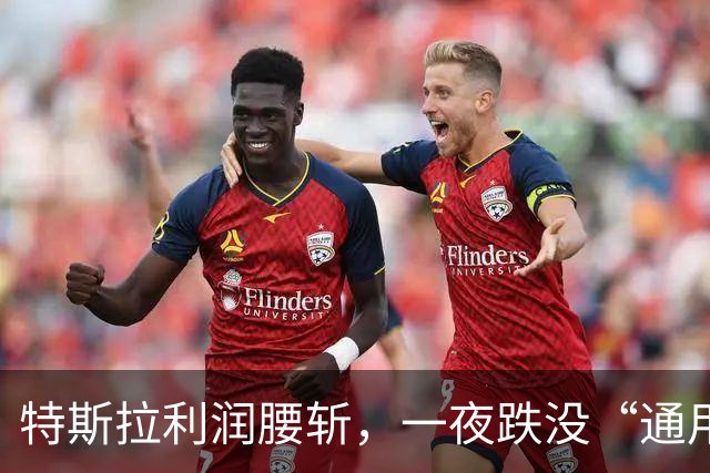 特斯拉利润腰斩，一夜跌没“通用汽车”！马斯克：FSD在中国也会遥遥领先